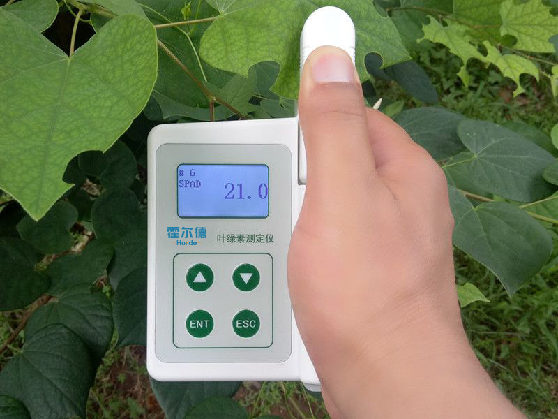 葉綠素含量測(cè)定儀具備哪些功能特點(diǎn) 葉綠素含量測(cè)定儀具備哪些功能特點(diǎn)