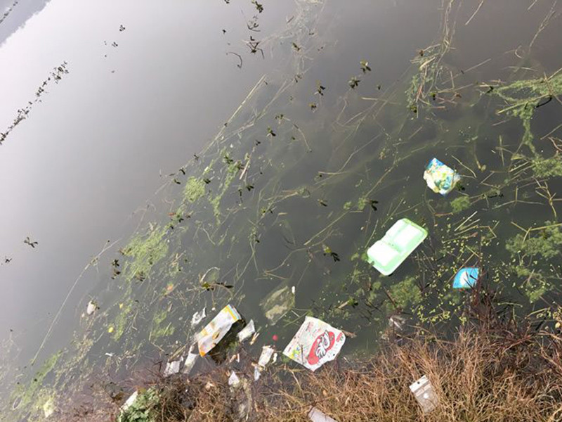 生物毒性檢測儀測定受污染水體的急性毒性 生物毒性檢測儀測定受污染水體的急性毒性