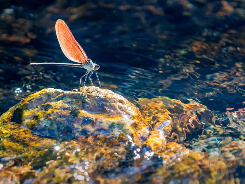 水質(zhì)總磷快速測(cè)定儀如何操作 水質(zhì)總磷快速測(cè)定儀如何操作