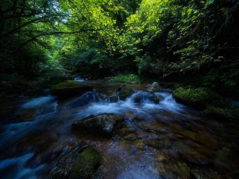 氨氮在線水質(zhì)分析儀的優(yōu)點(diǎn)