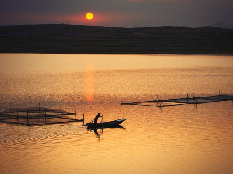 水產(chǎn)養(yǎng)殖水質(zhì)分析儀可以檢測哪些項目 水產(chǎn)養(yǎng)殖水質(zhì)分析儀可以檢測哪些項目