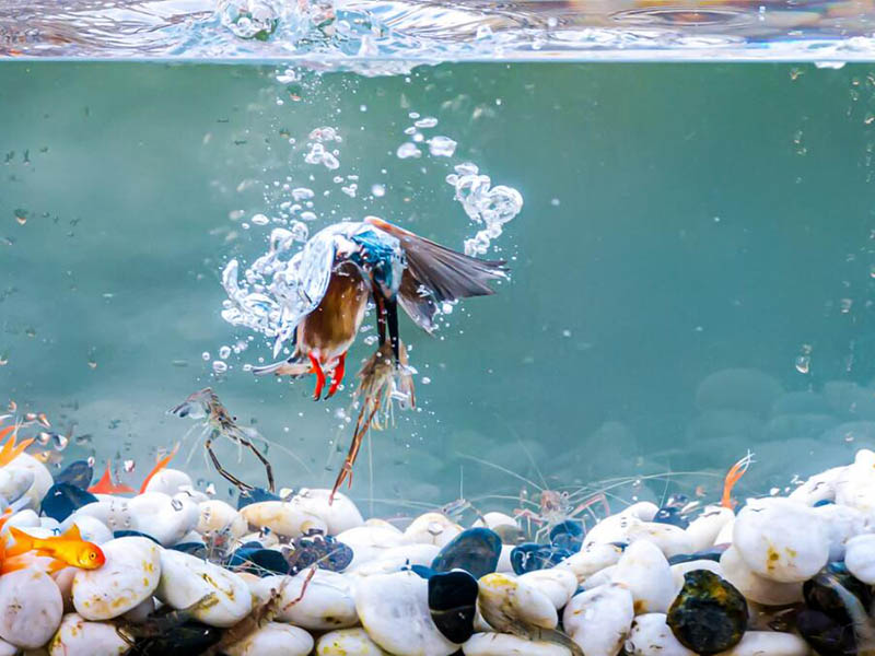 水質(zhì)總磷總氮是什么意思