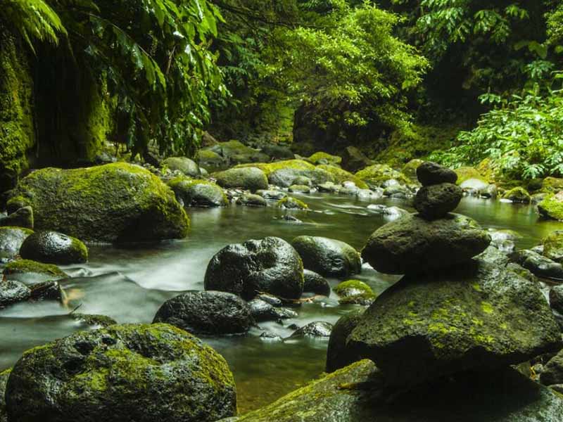 地表水葉綠素a測(cè)定儀原理