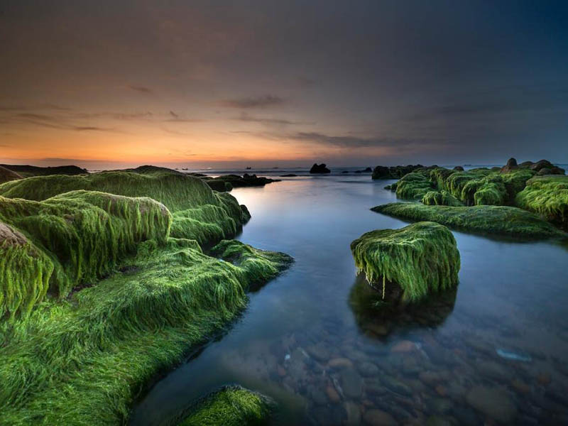 總磷快速測定儀檢定規(guī)程