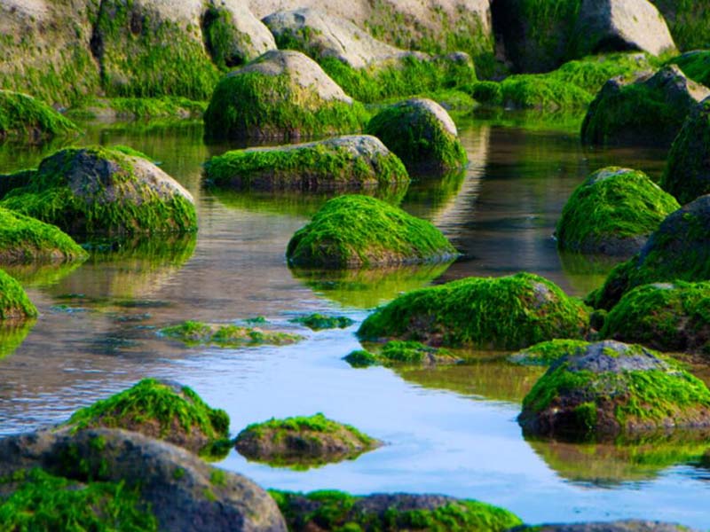 總磷檢測儀常見故障有哪些