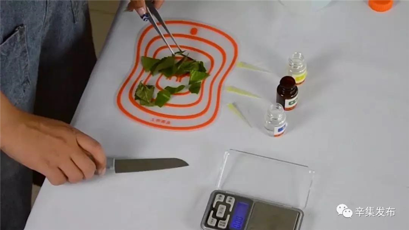 辛集市58所學(xué)校配備農(nóng)藥殘留檢測(cè)儀 辛集市58所學(xué)校配備農(nóng)藥殘留檢測(cè)儀